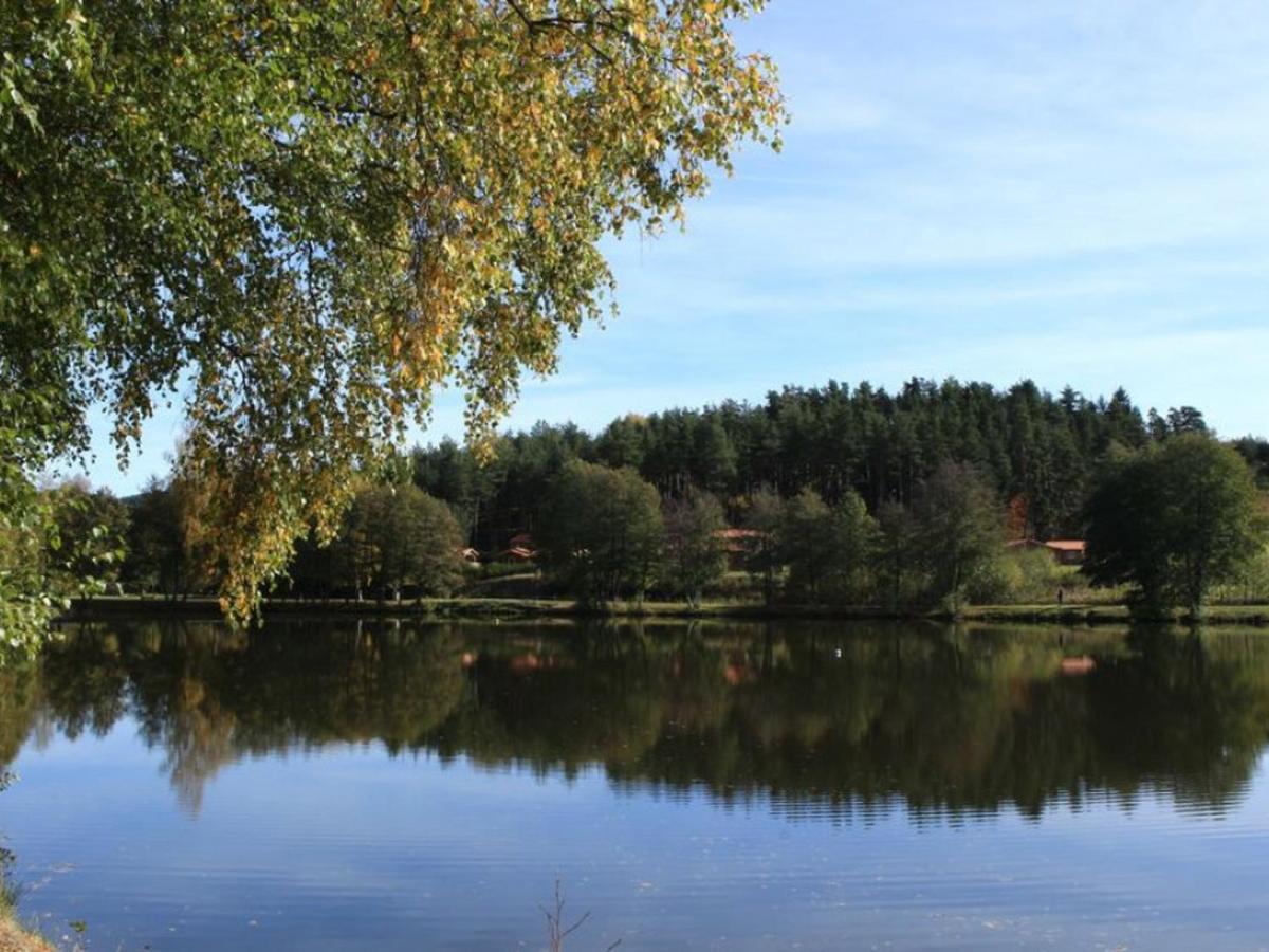 Gite Avec Cheminee, Terrasse Et Wifi - Animaux Acceptes - Fr-1-496-163 Usson-en-Forez Luaran gambar